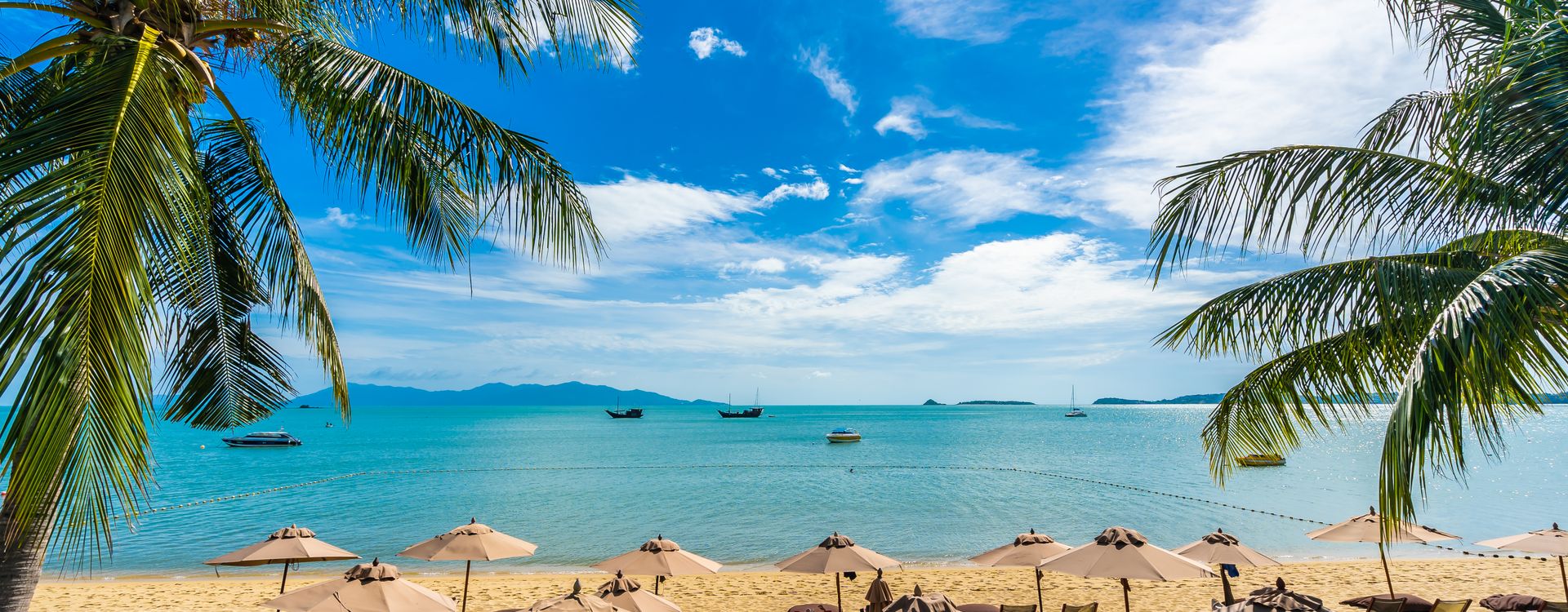 Your Next Adventure Awaits